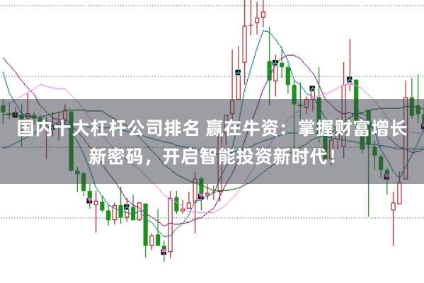 国内十大杠杆公司排名 赢在牛资：掌握财富增长新密码，开启智能投资新时代！
