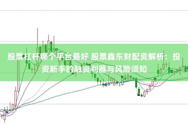 股票杠杆哪个平台最好 股票鑫东财配资解析：投资新手的融资利器与风险须知