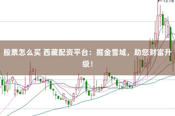 股票怎么买 西藏配资平台：掘金雪域，助您财富升级！