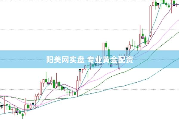阳美网实盘 专业黄金配资