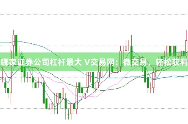 哪家证券公司杠杆最大 V交易网：微交易，轻松获利