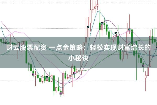 财云股票配资 一点金策略：轻松实现财富增长的小秘诀