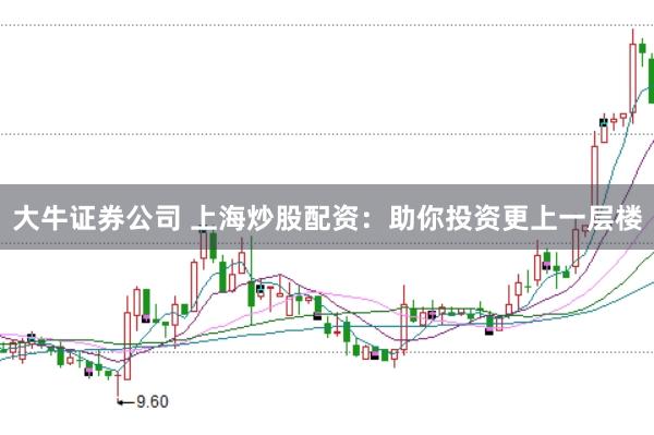 大牛证券公司 上海炒股配资：助你投资更上一层楼