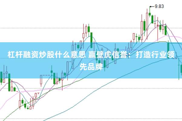 杠杆融资炒股什么意思 赢壁虎信誉：打造行业领先品牌