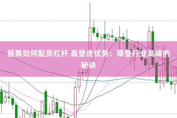 股票如何配资杠杆 赢壁虎优势：攀登行业高峰的秘诀