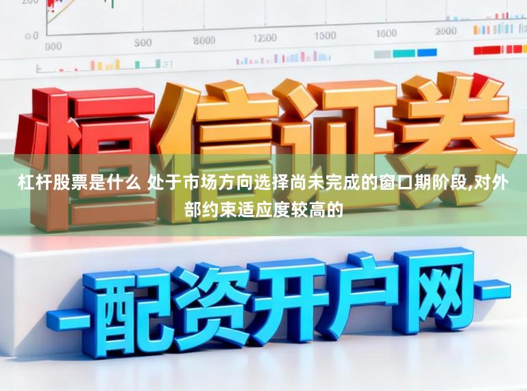 杠杆股票是什么 处于市场方向选择尚未完成的窗口期阶段,对外部约束适应度较高的