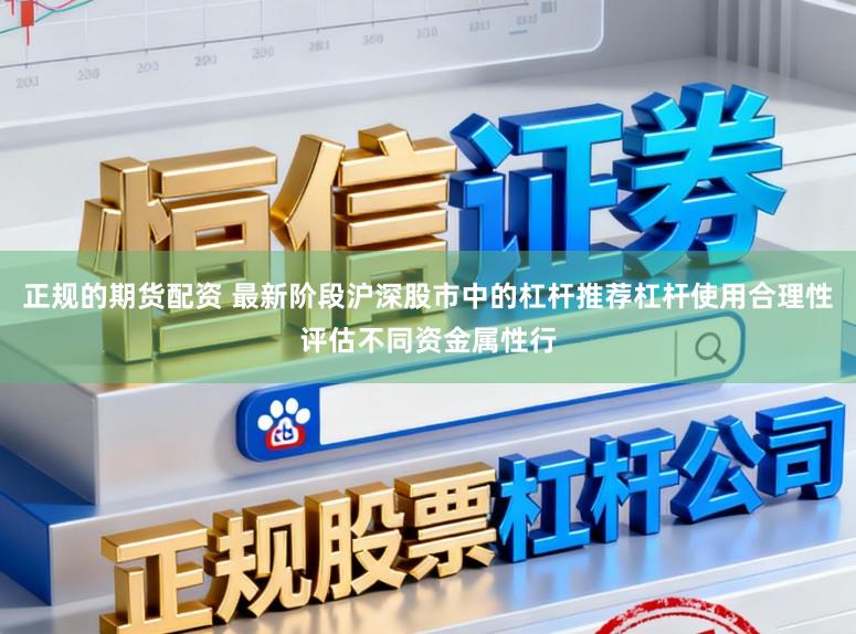 正规的期货配资 最新阶段沪深股市中的杠杆推荐杠杆使用合理性评估不同资金属性行